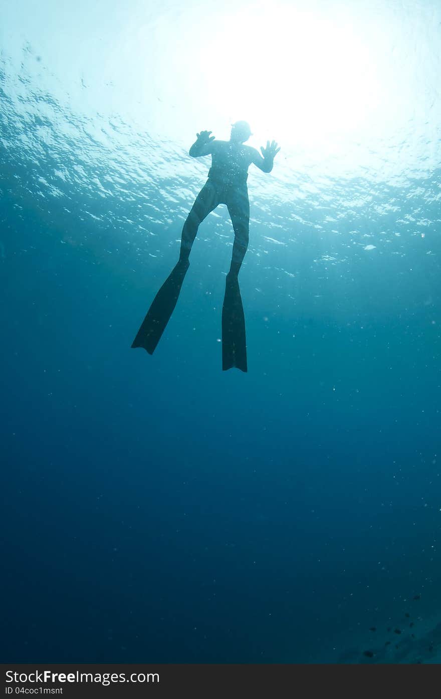 Free diver swims up to surface