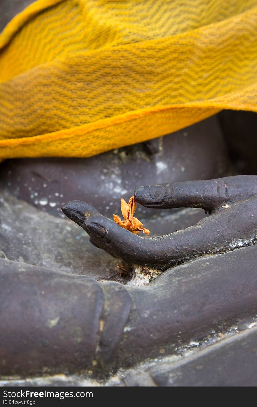 Close up Dry Flower on hand Buddha statue