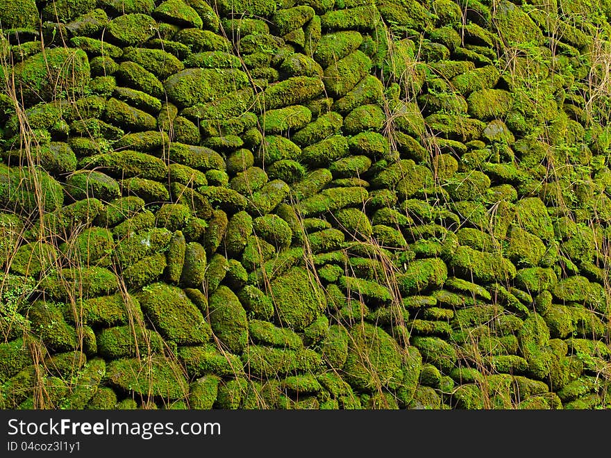 Stone wall with lichen. Stone wall with lichen.