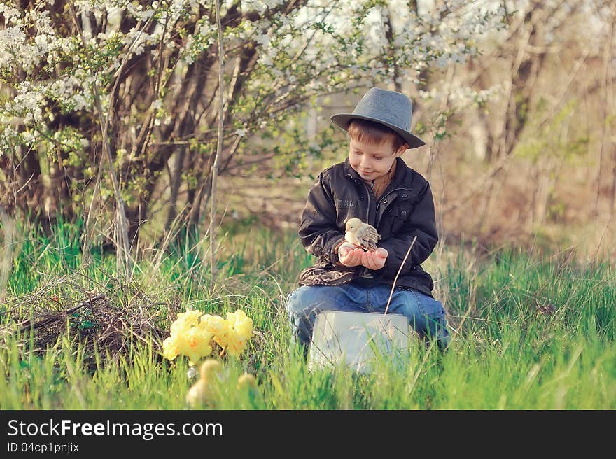 The boy outdoors in a hat plays with chickens. The boy outdoors in a hat plays with chickens