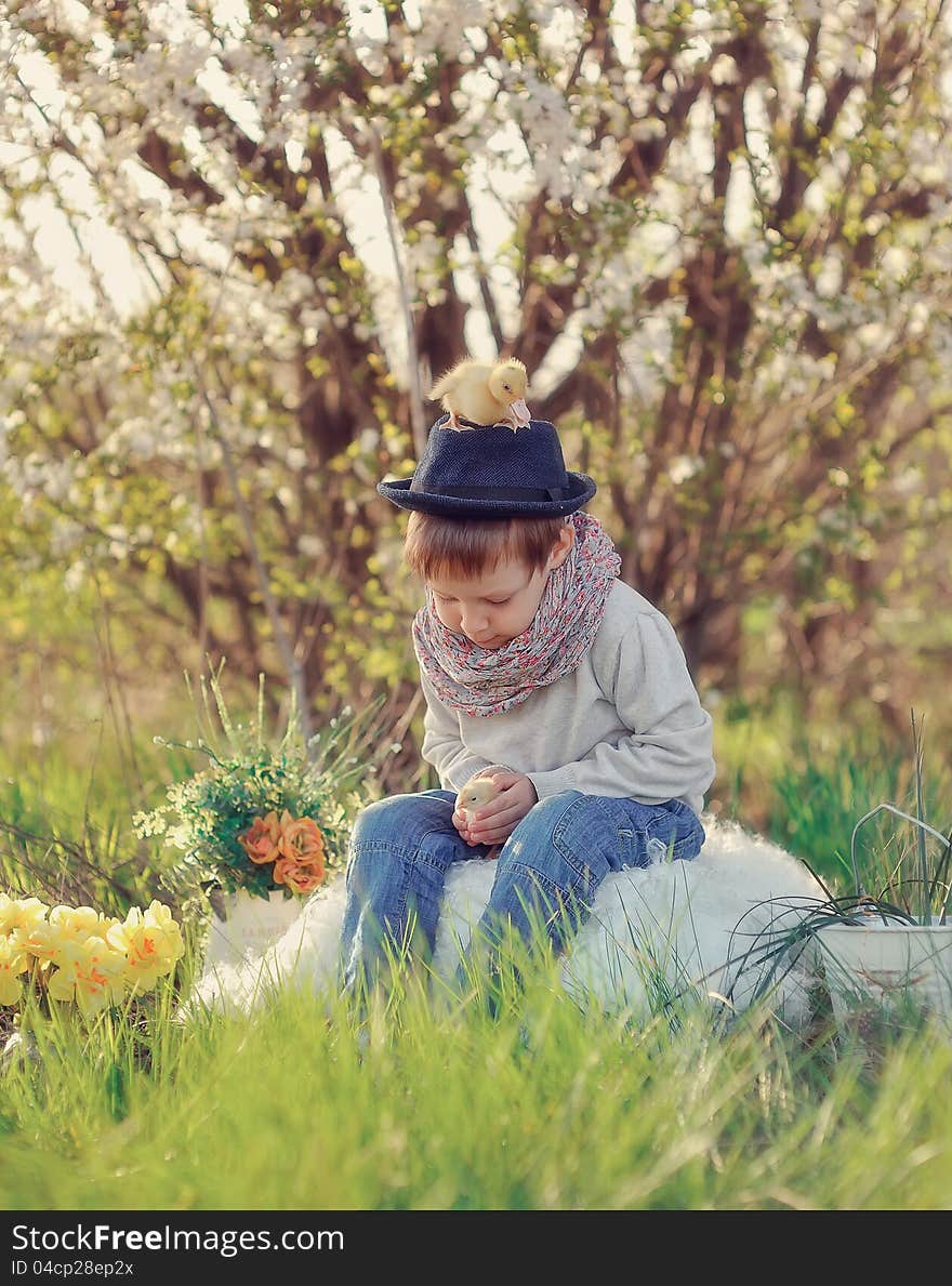 The boy outdoors in a hat plays with ducklings. The boy outdoors in a hat plays with ducklings