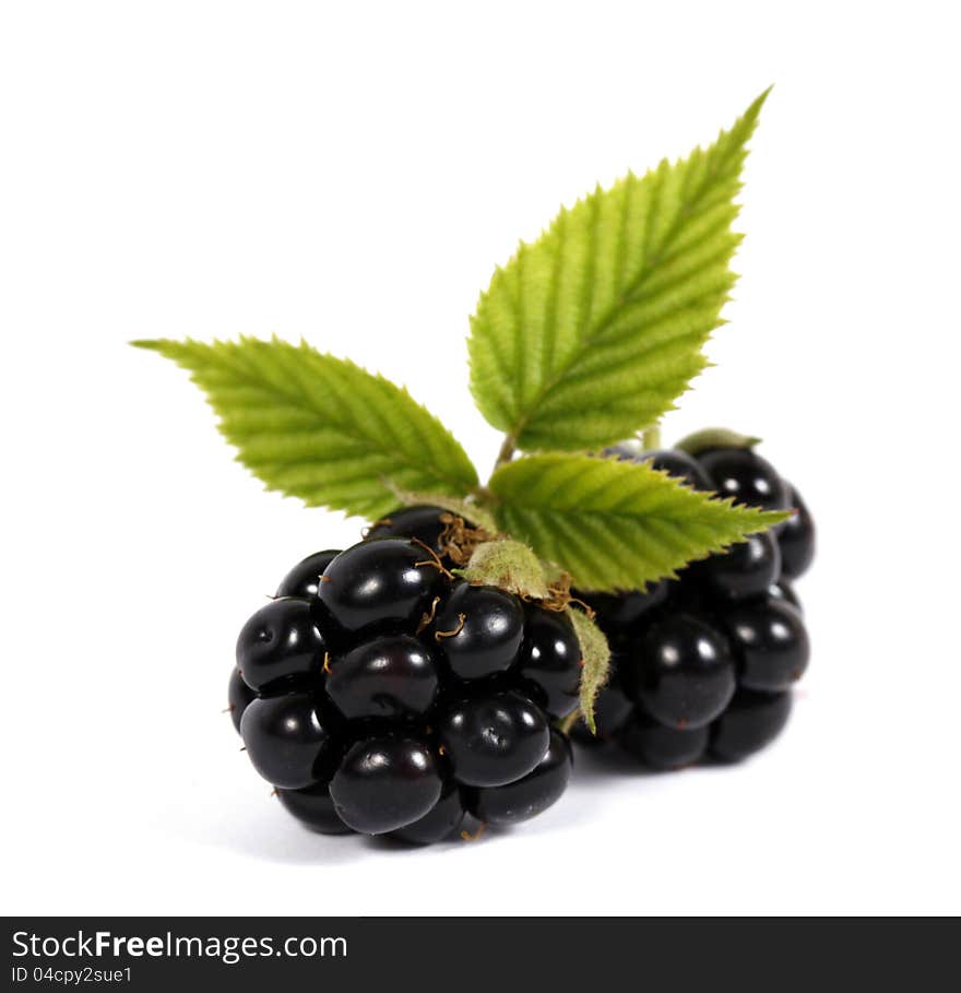 Blackberries