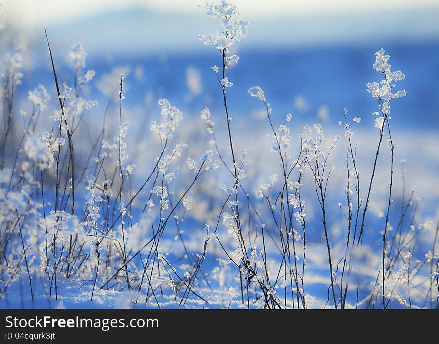 Flower shaped icicles in bright sunlight