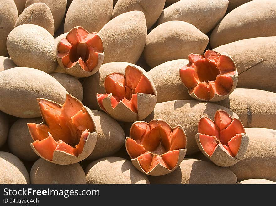 Mamey a delicious tropical fruit