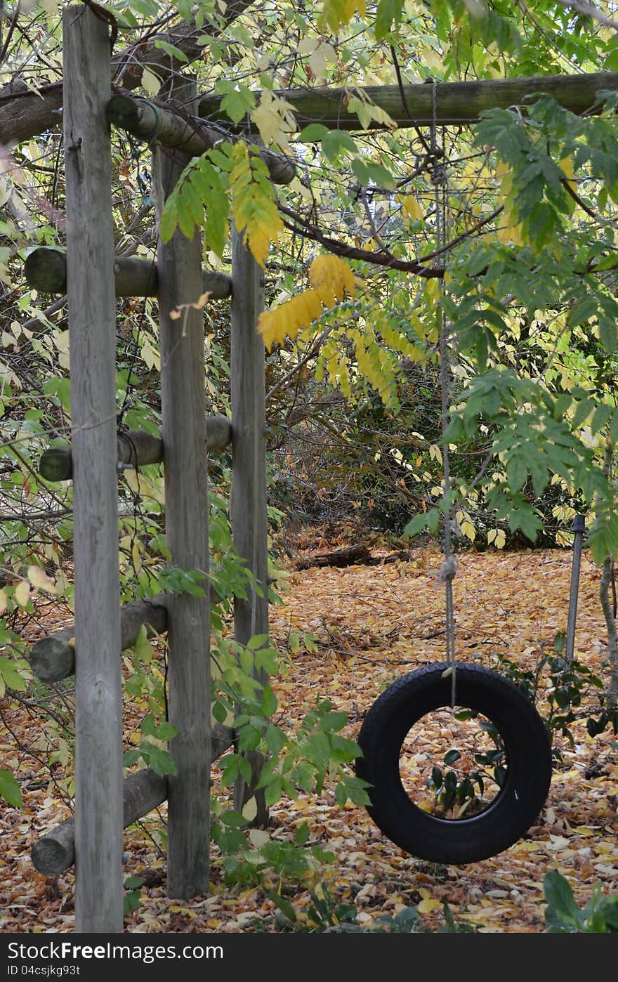 An old rubber car tyre converted into a childs swing, and set amongst a heavily overgrown garden area, with a blanket of golden leaves on the ground. An old rubber car tyre converted into a childs swing, and set amongst a heavily overgrown garden area, with a blanket of golden leaves on the ground.