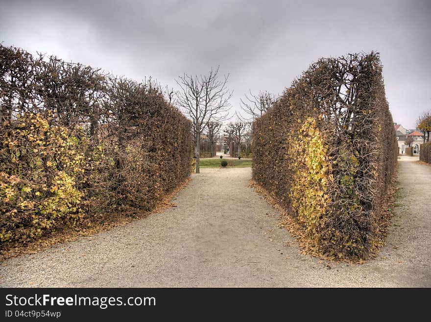 Autumn in Vienna park