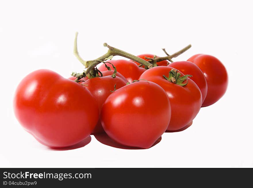 Tomatoes isolated on the white. Tomatoes isolated on the white