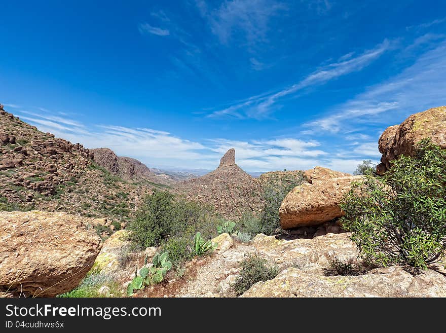 This image captures Weaver's Needle from the Peralta Trail. This image captures Weaver's Needle from the Peralta Trail.