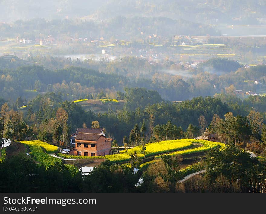 High mountain farmhouse in a flower field, and the houses of the distant woods, in shaanxi rural tourism.