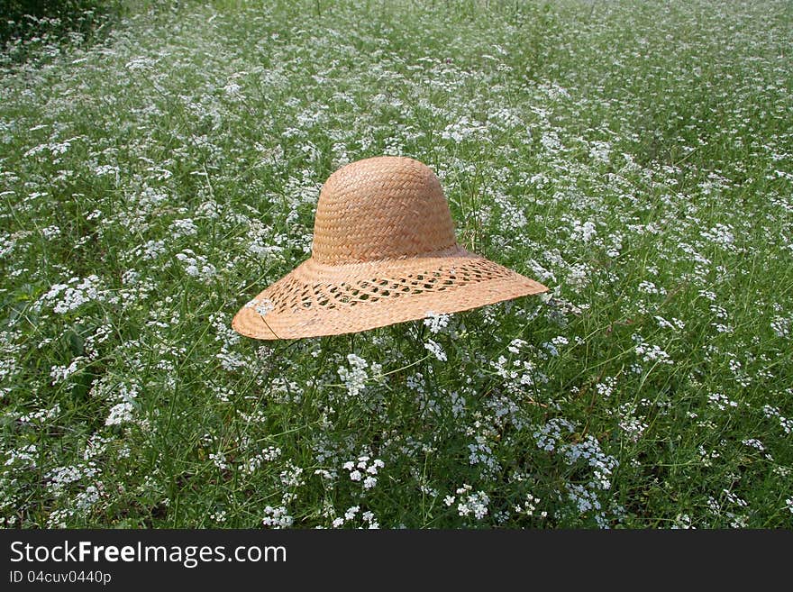 Straw hat on the flower field