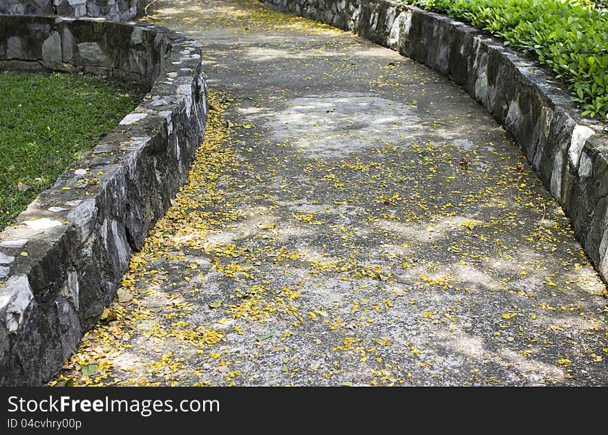 Stone walkway winding in garden