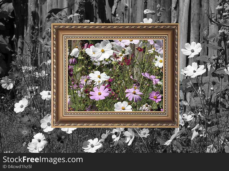 Colorful countryside flowers with gold picture frame.