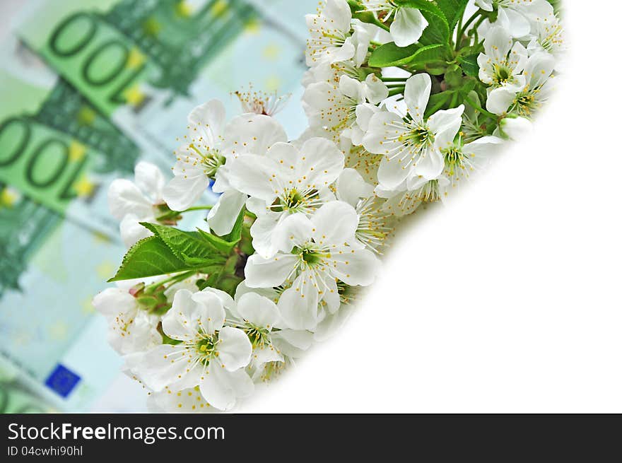 Concept of flowering business or shopping, flowers on money. Concept of flowering business or shopping, flowers on money.