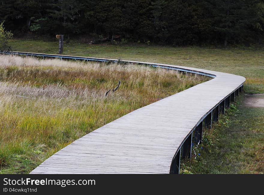 A plank road built along the wet land,in Pudacuo National Park,China