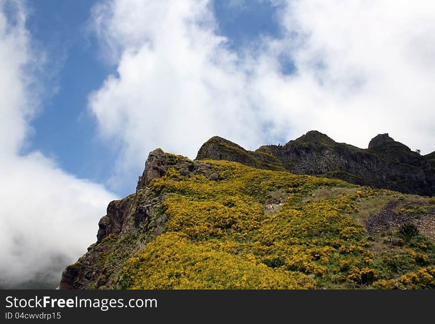 Nice and beautiful in Madeira Island. Nice and beautiful in Madeira Island