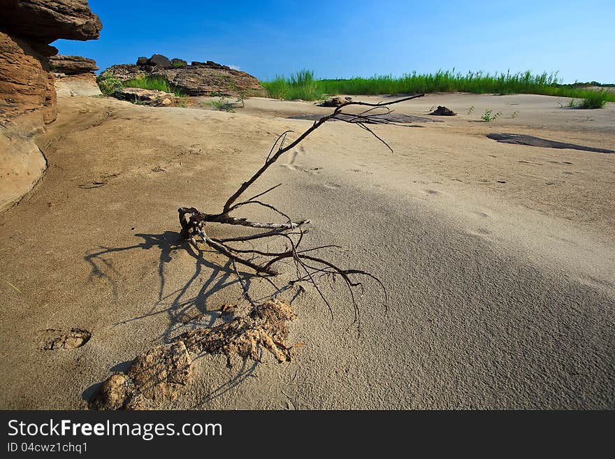 Hong Desert In Ubonratchathanee