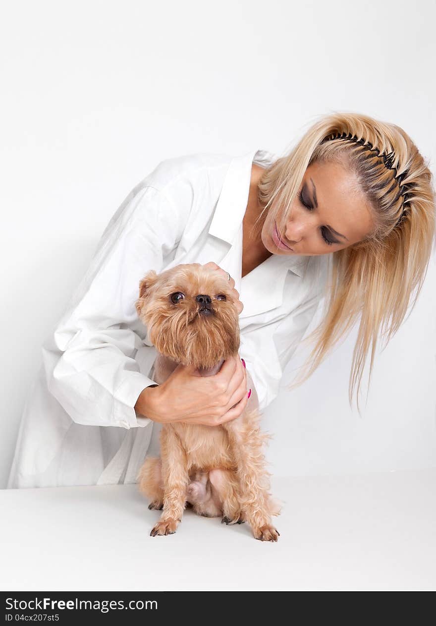 Veterinarian inspects a little dog breed Griffon Bruxellois. Veterinarian inspects a little dog breed Griffon Bruxellois