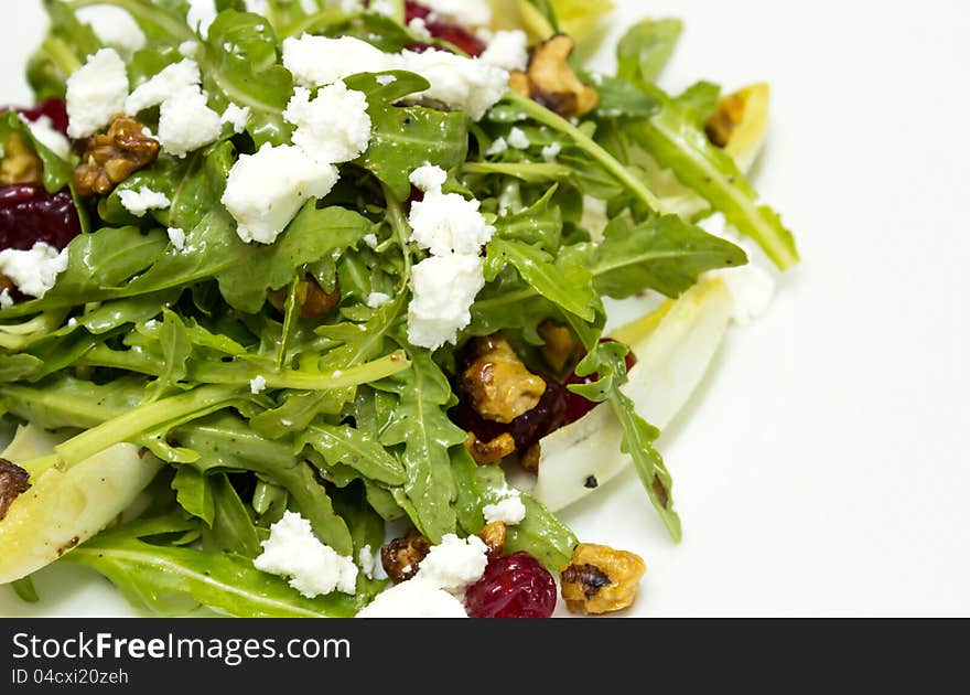 Chicory and organic rocket salad