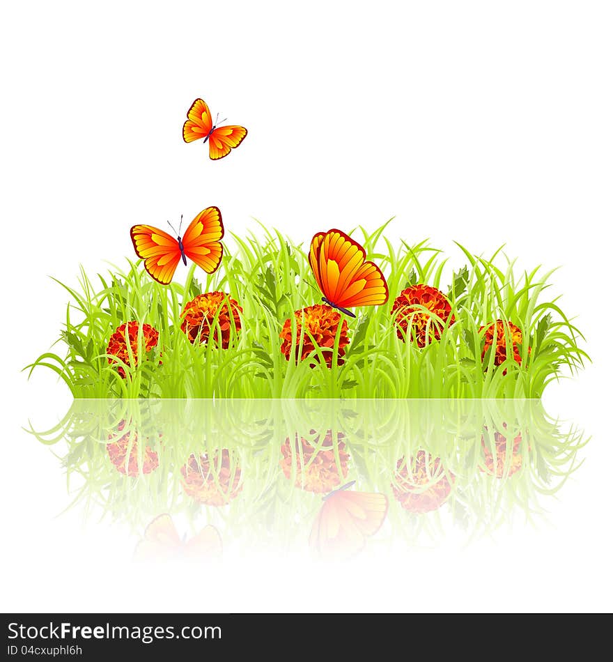 Green grass with red flowers and butterflies. Green grass with red flowers and butterflies