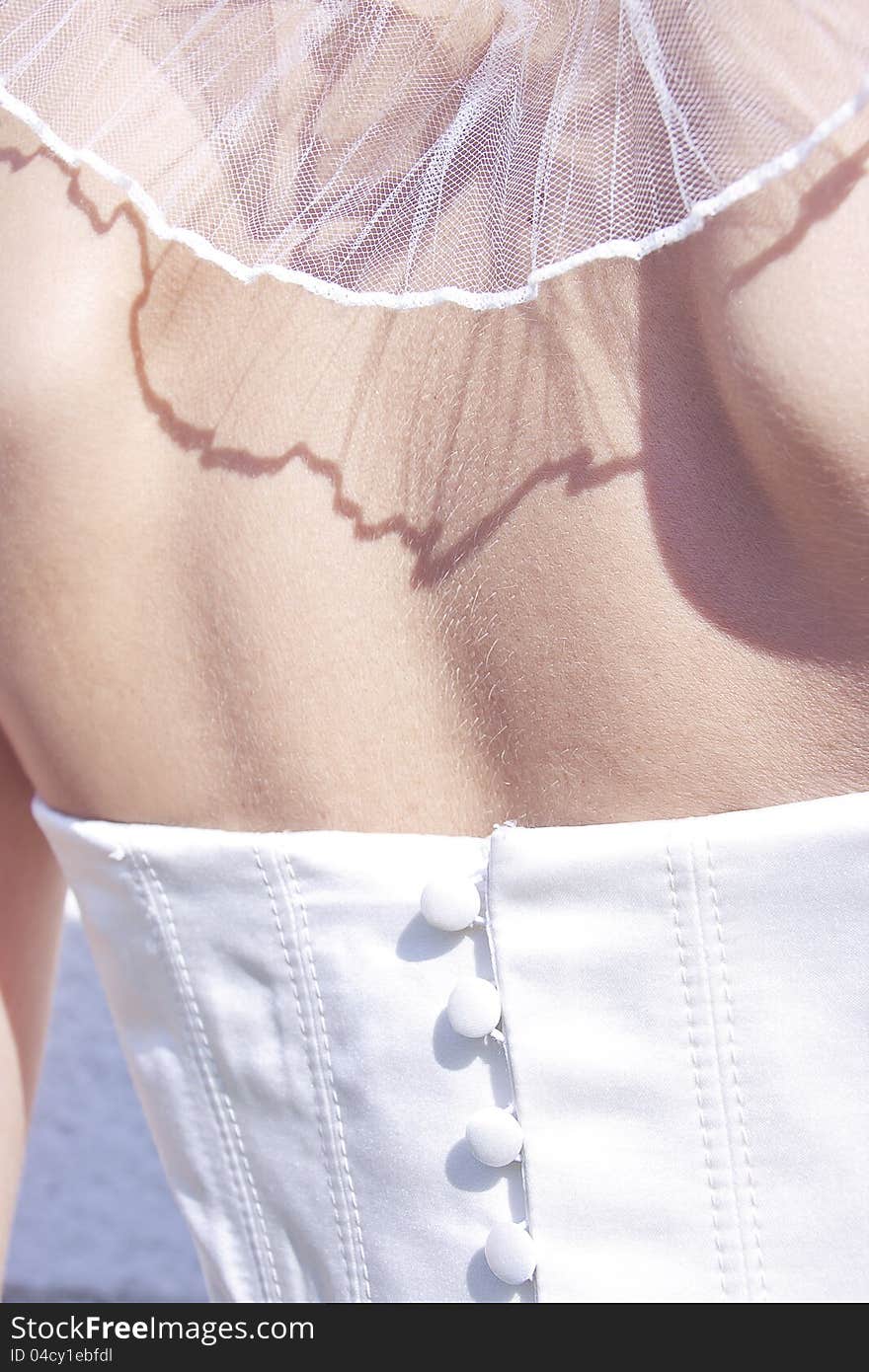 Wedding. Bride in white dress detail. Wedding. Bride in white dress detail.