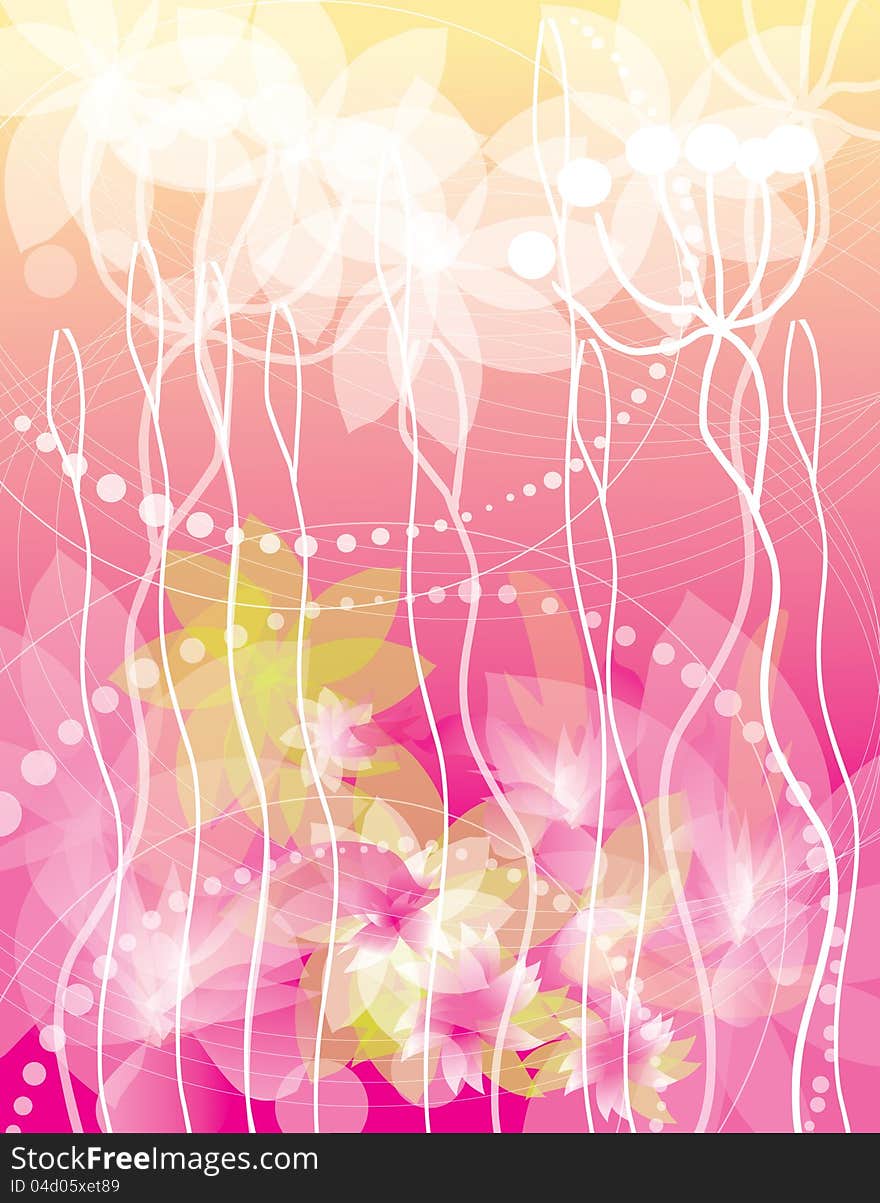 Beautiful Flowers On Pink Background