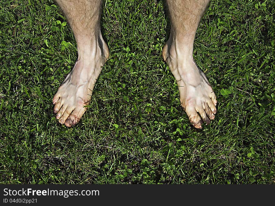 Close-up of male bare feet on green grass