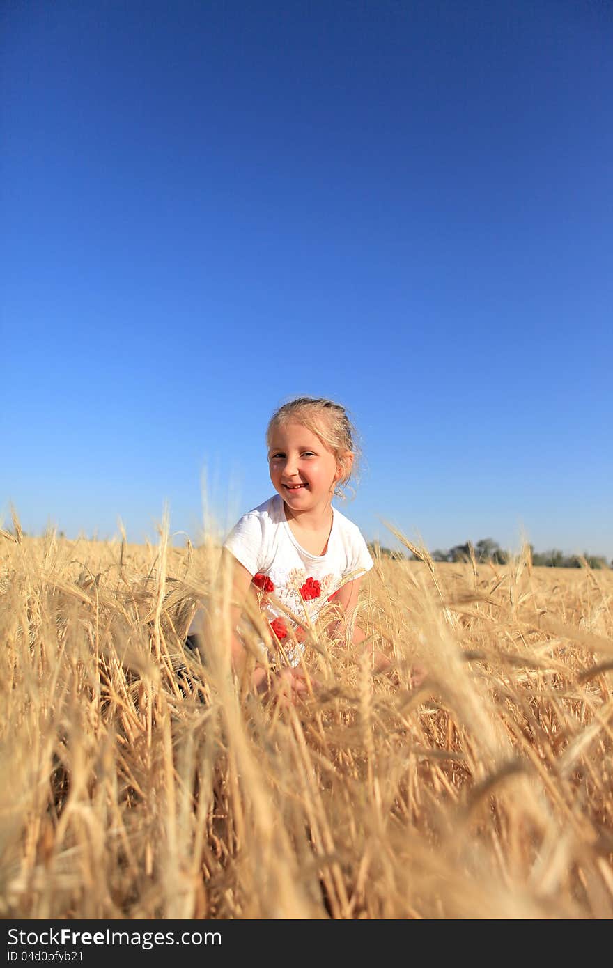 Girl in a field of wheat on blue sky background. Girl in a field of wheat on blue sky background