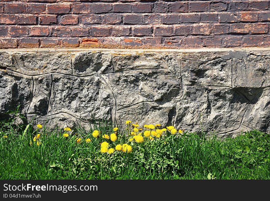 Brick and stone wall, green grass and dandelions