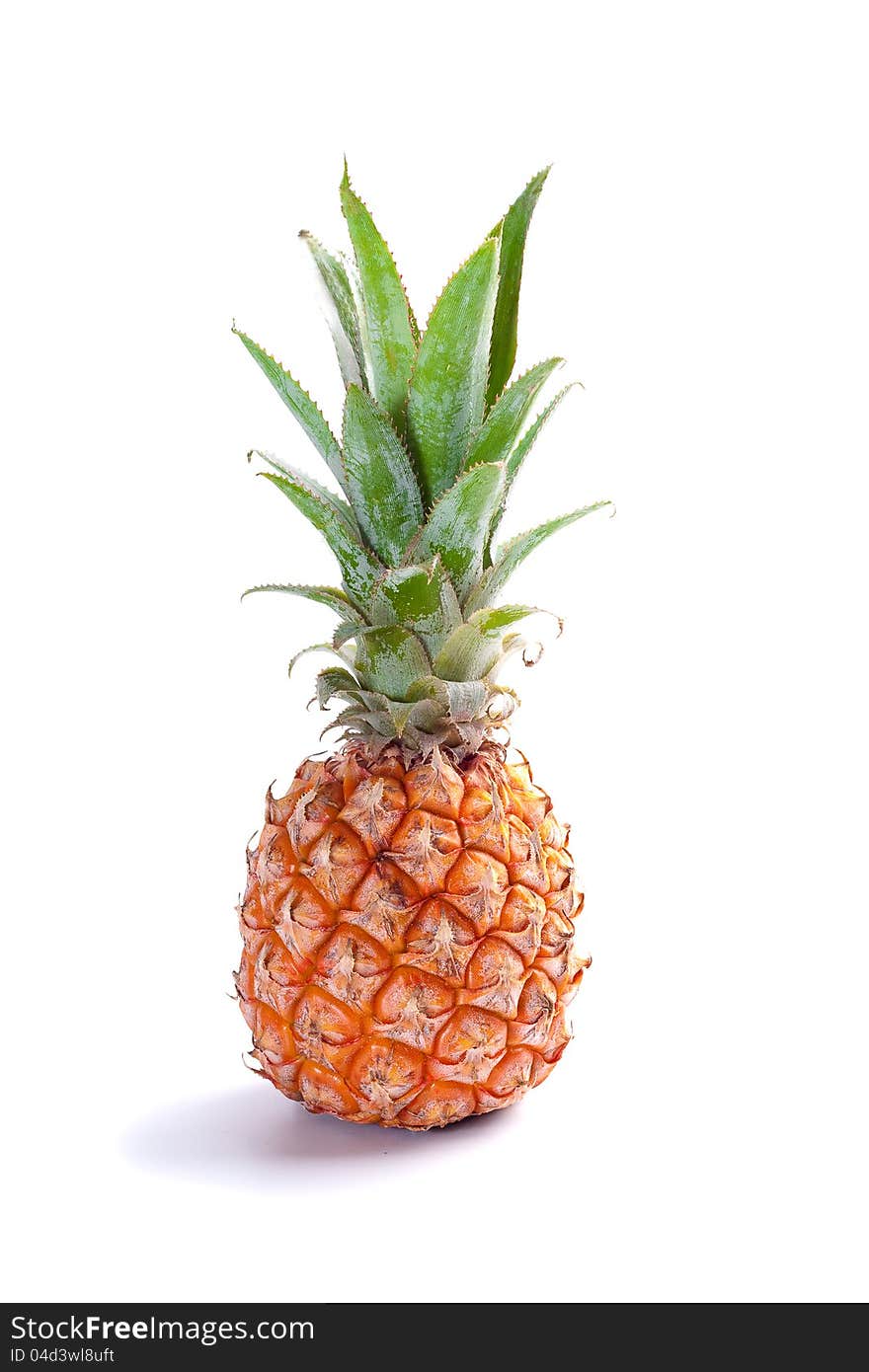 Ripe  Juicy Pineapple