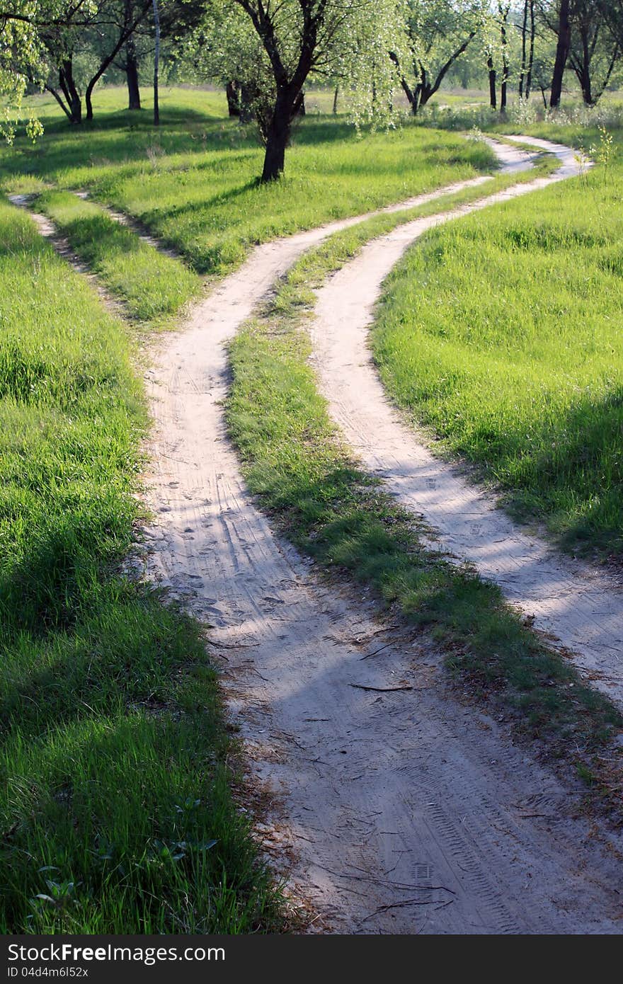 Beautiful forest road