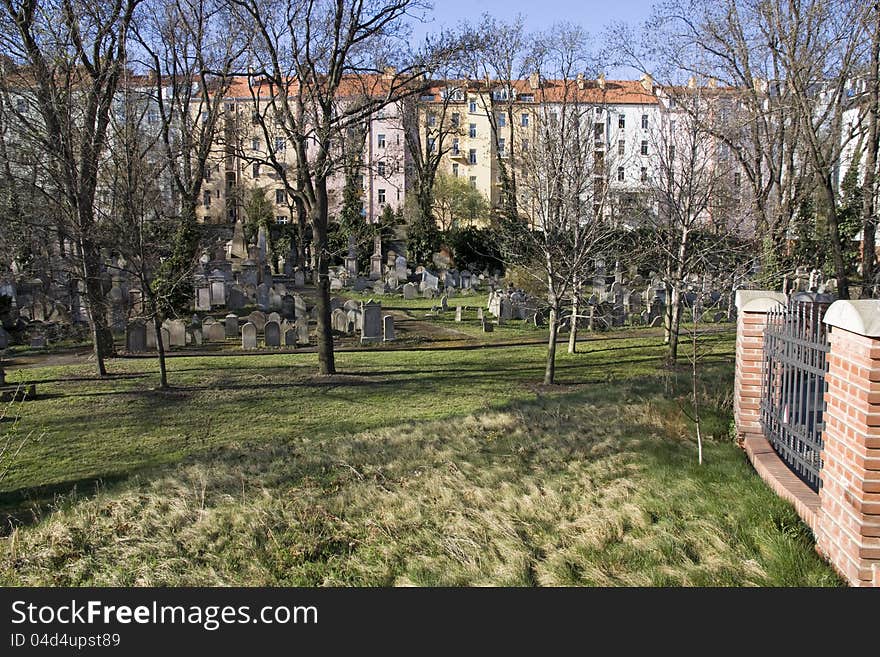 Jewish cemetery in zizkov