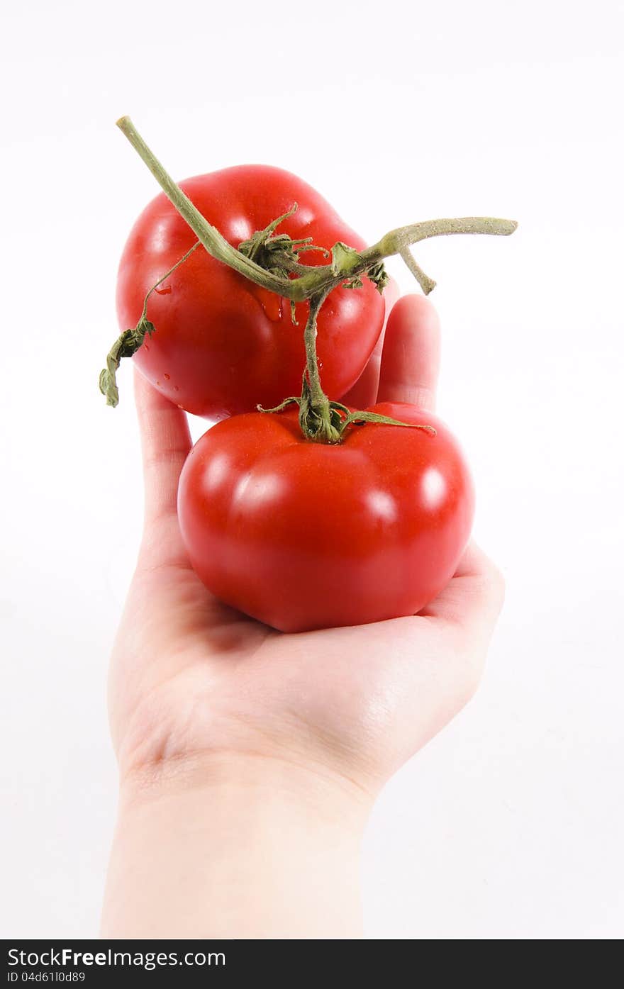 Tomatoe in the hand isolated. Tomatoe in the hand isolated