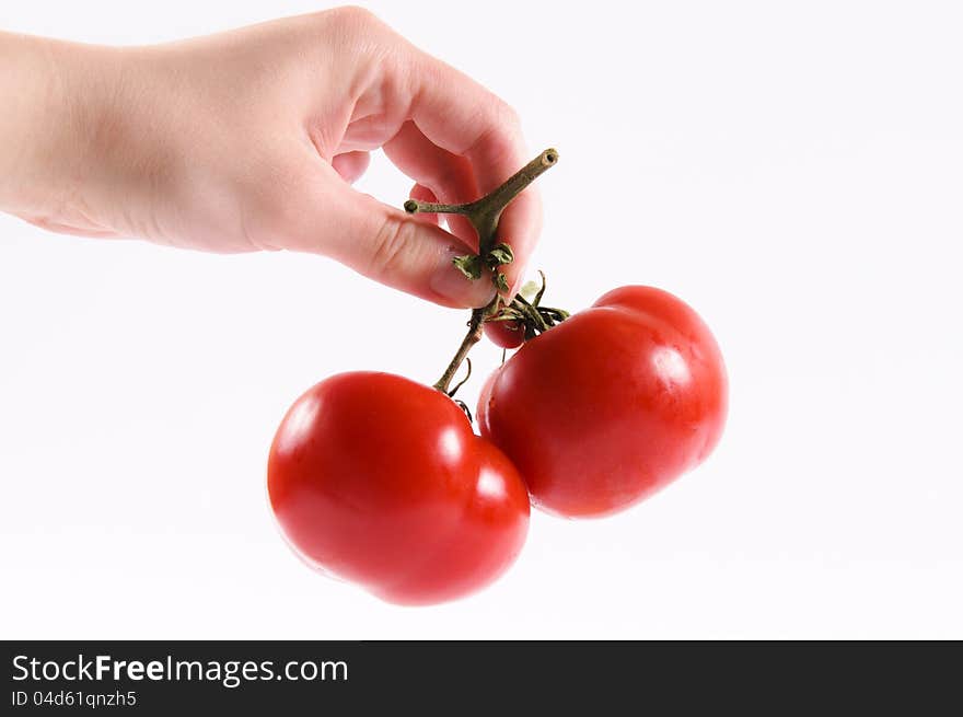 Tomatoe in the hand isolated. Tomatoe in the hand isolated
