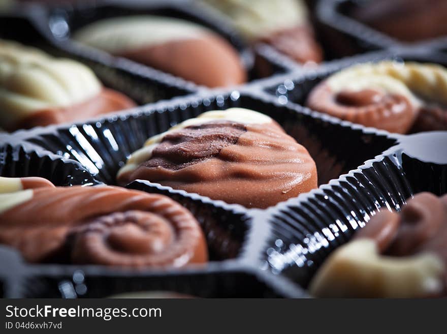 Close-up look of the conch/shell shape chocolate.