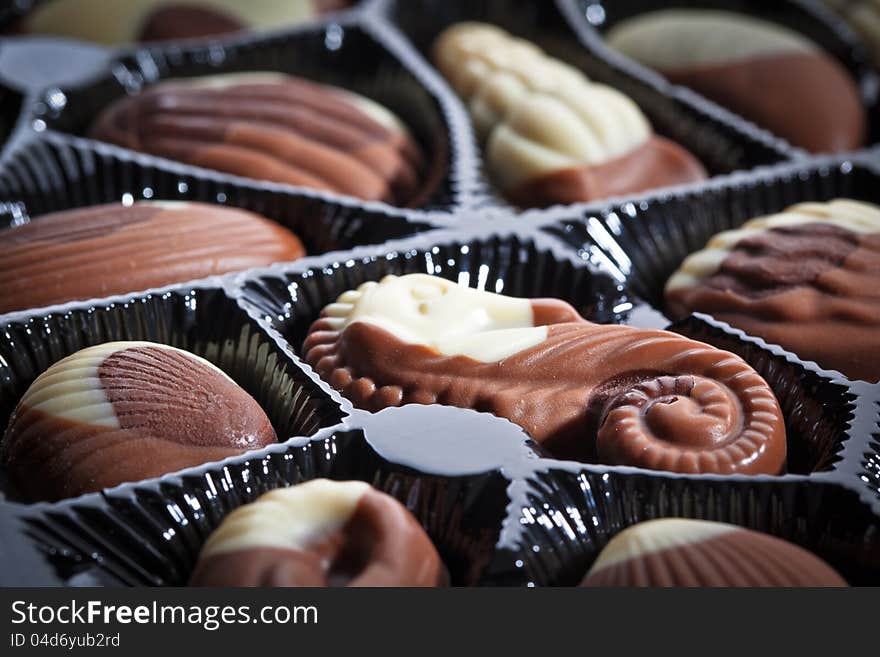 Close-up look of the marine(sea horse/shell/conch) shape chocolate.