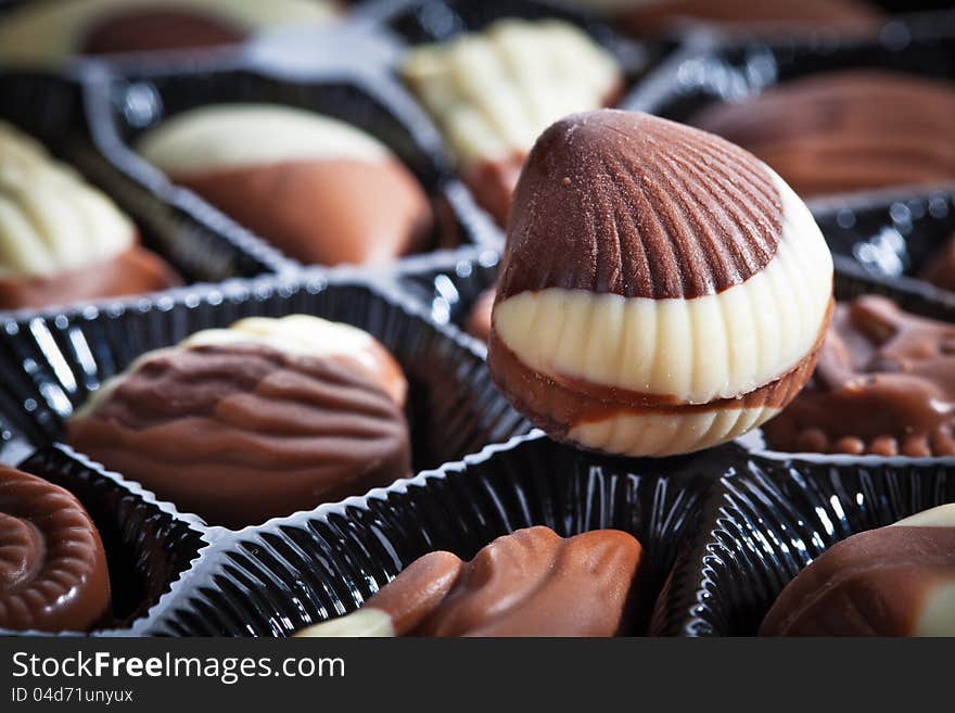 Close-up look of the conch/shell shape chocolate.