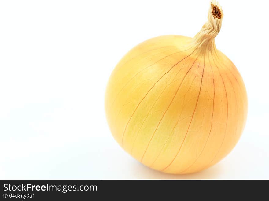 Onion on a white background