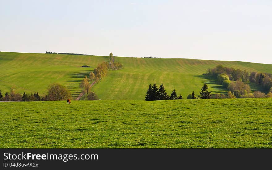 Meadow in Czech republic - landscape