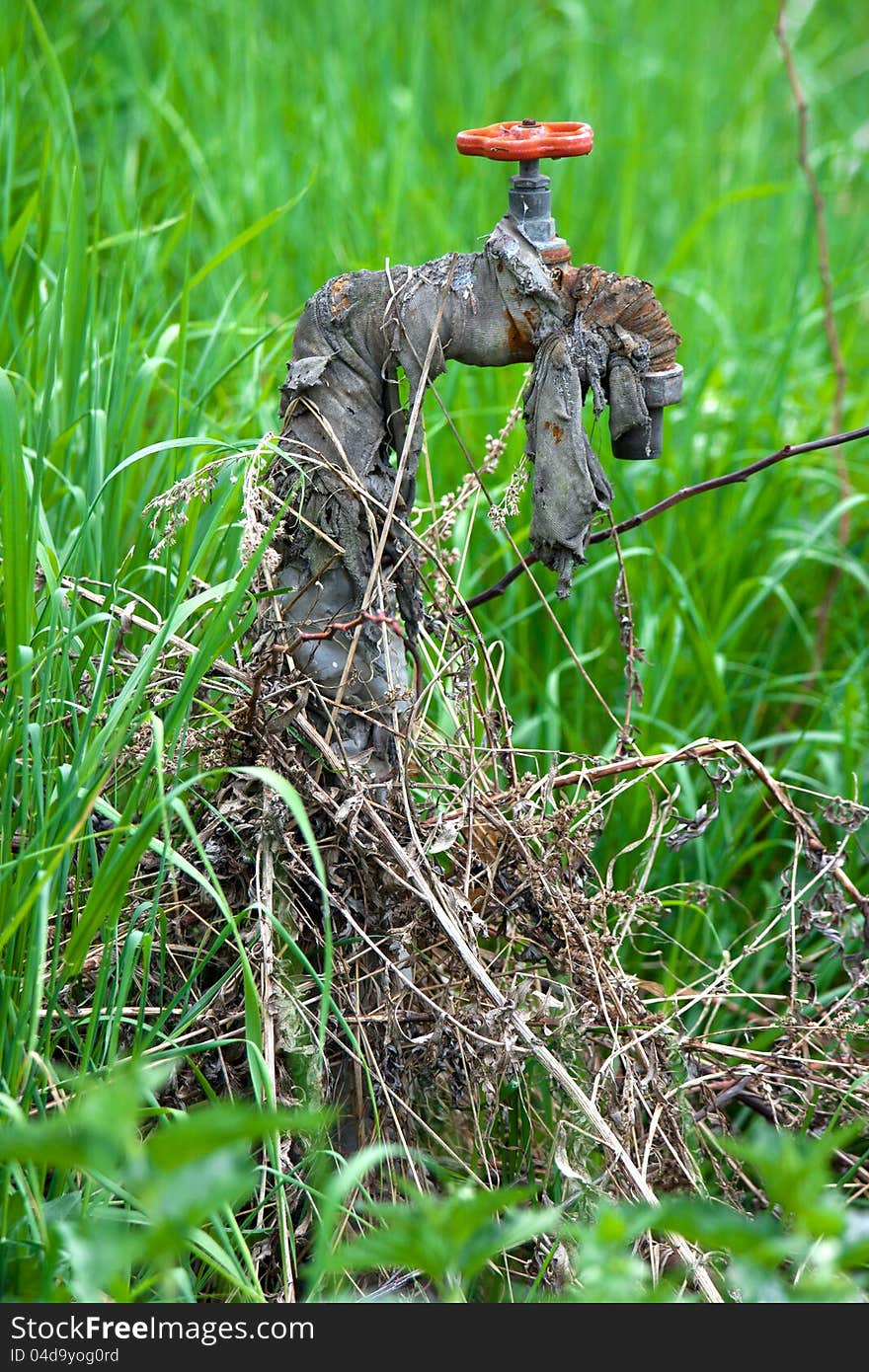 Dried up rusty faucet surrounded by green vegetation. Dried up rusty faucet surrounded by green vegetation