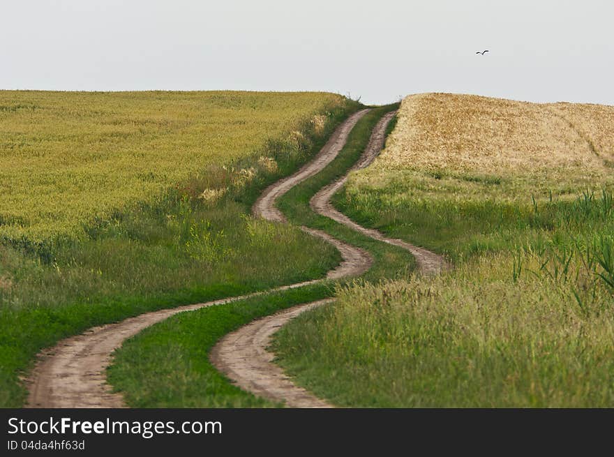 Abstract rural scenery and country road