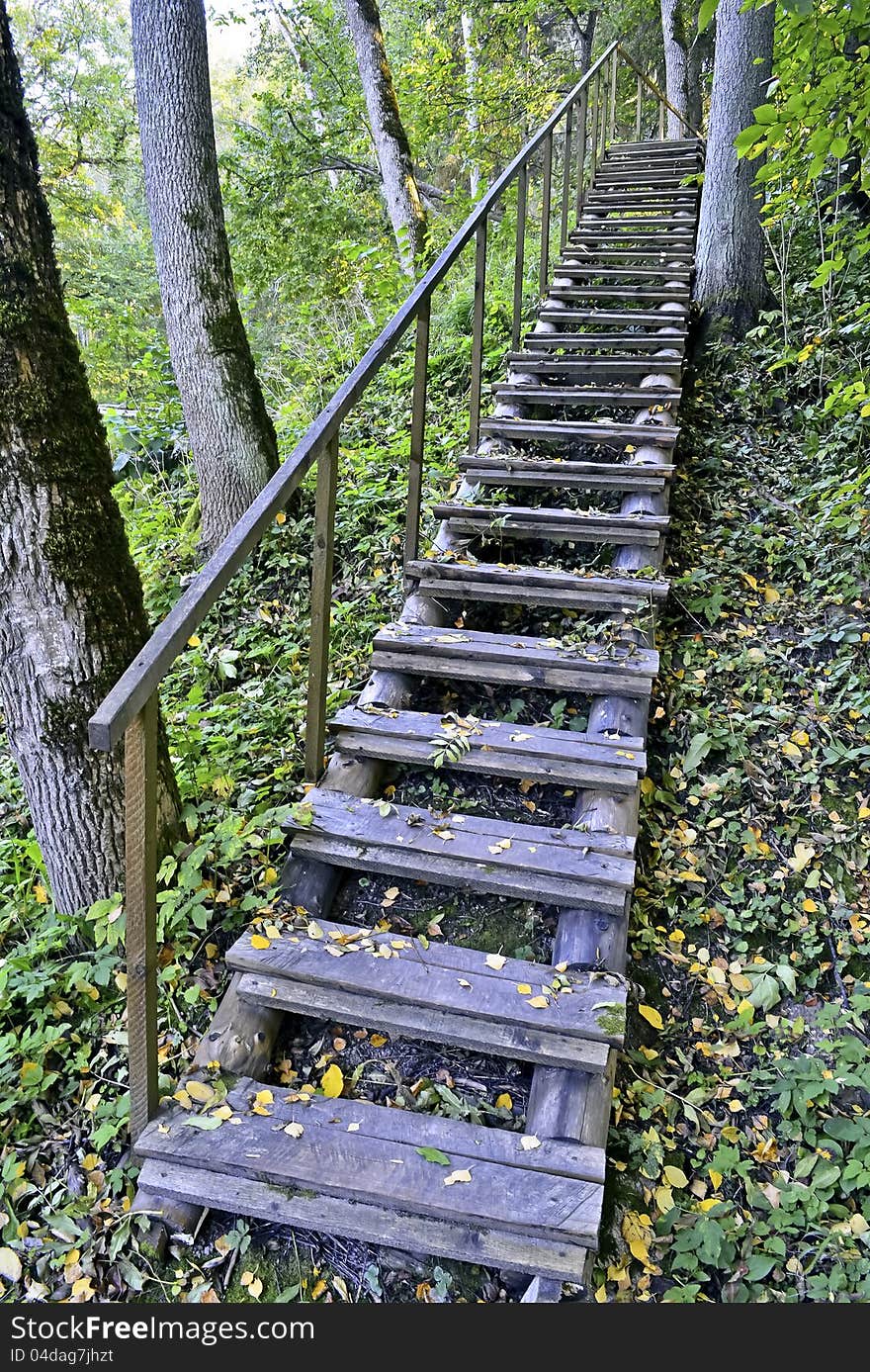 Woodland Scenery With A Stair At Autumn