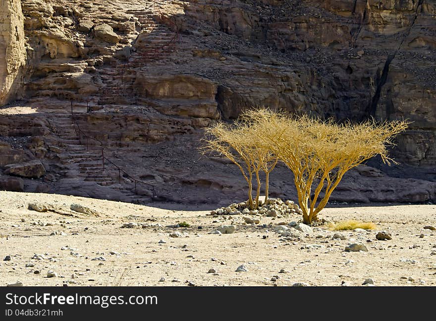 Pillars of Solomon, Israel