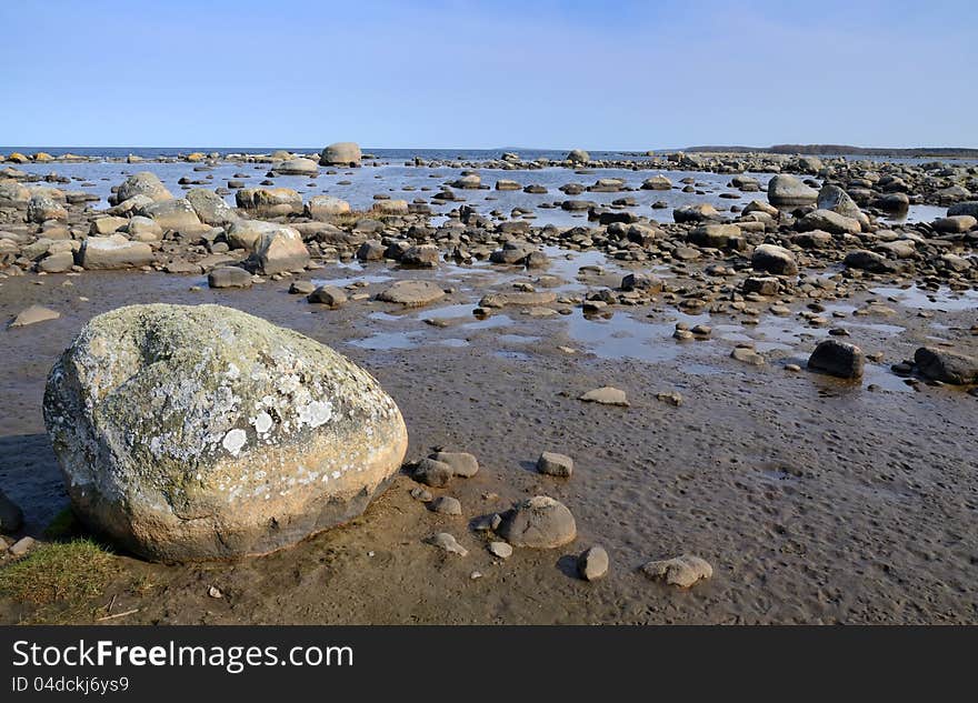 Symptom of drought on the Swedish coast. Symptom of drought on the Swedish coast