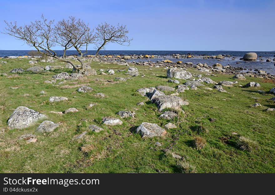 Typical Swedish coast view in early spring season. Typical Swedish coast view in early spring season