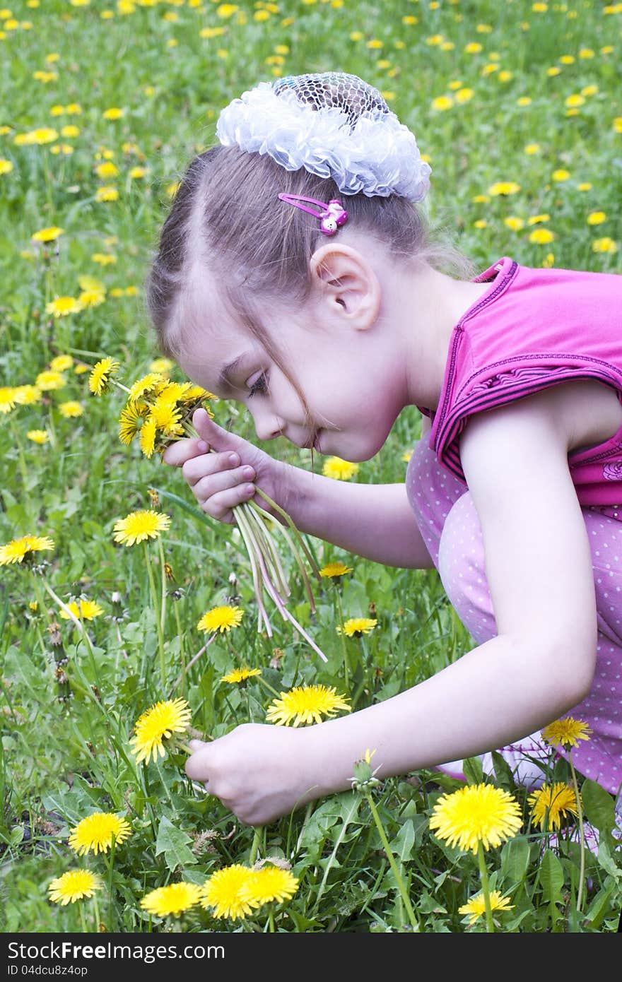 Little beautiful girl in a field of dandelions. Little beautiful girl in a field of dandelions