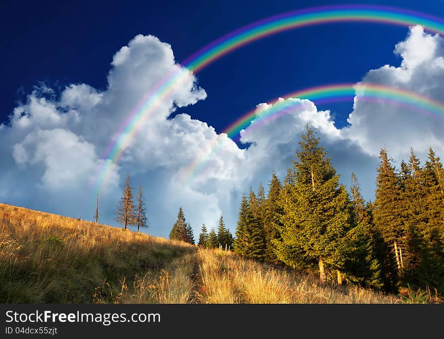 Summer landscape in the mountains