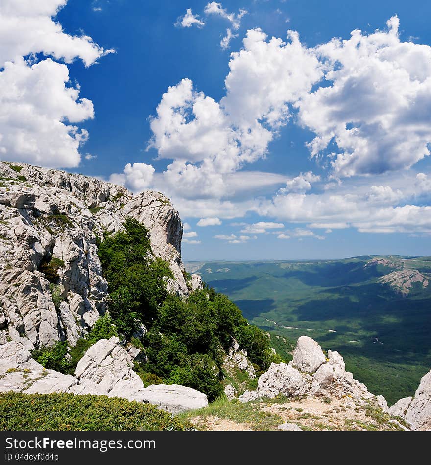 Summer landscape in the mountains