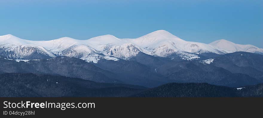 Winter landscape with fur-trees and fresh snow. Ukraine, Carpathians