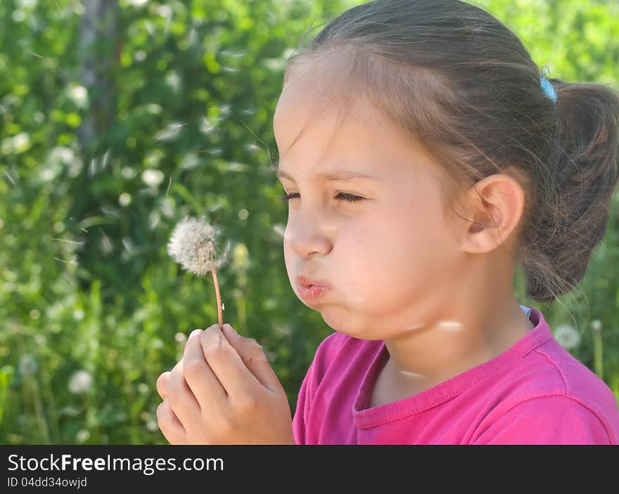 A cute child blowing a dandelion. A cute child blowing a dandelion.