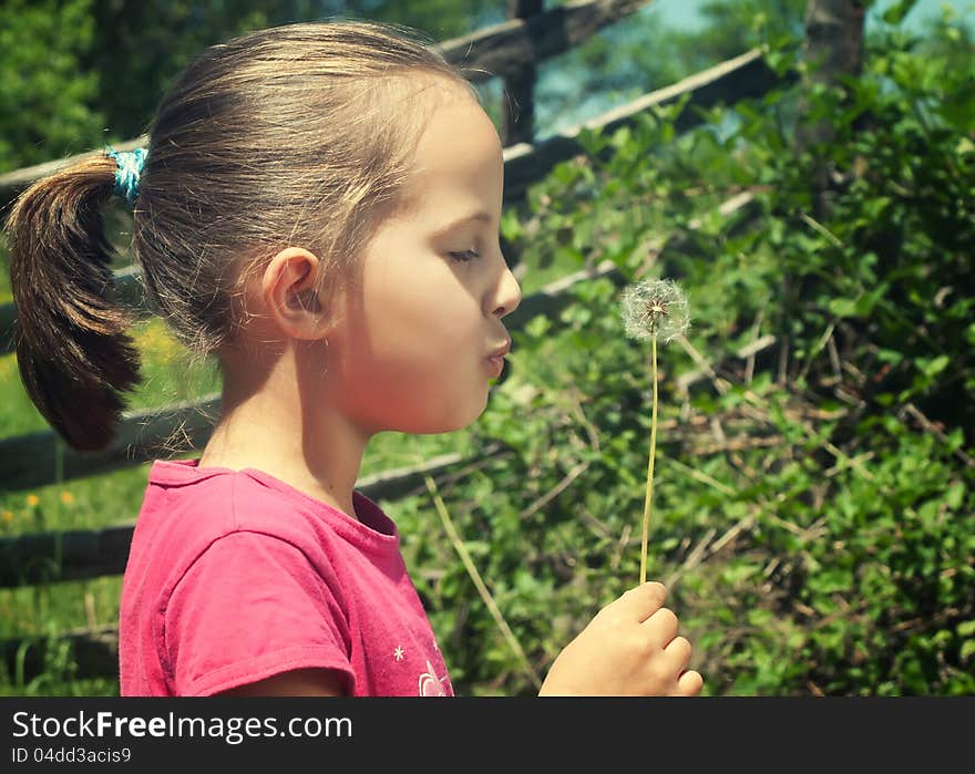 A cute child blowing a dandelion. A cute child blowing a dandelion.